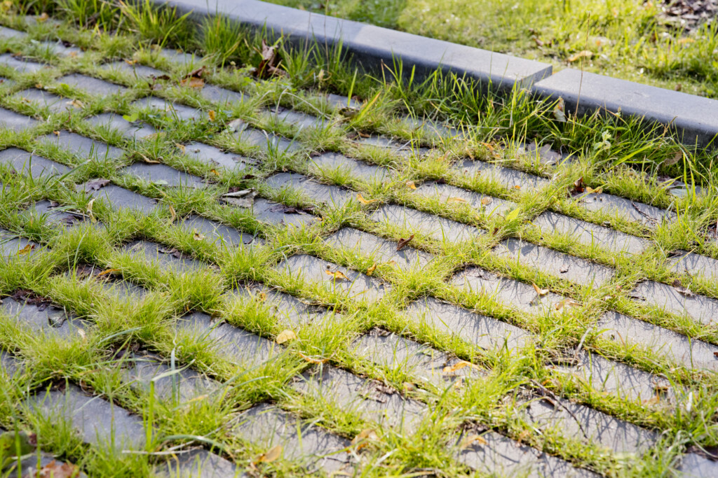 Kopli ofisų projektas