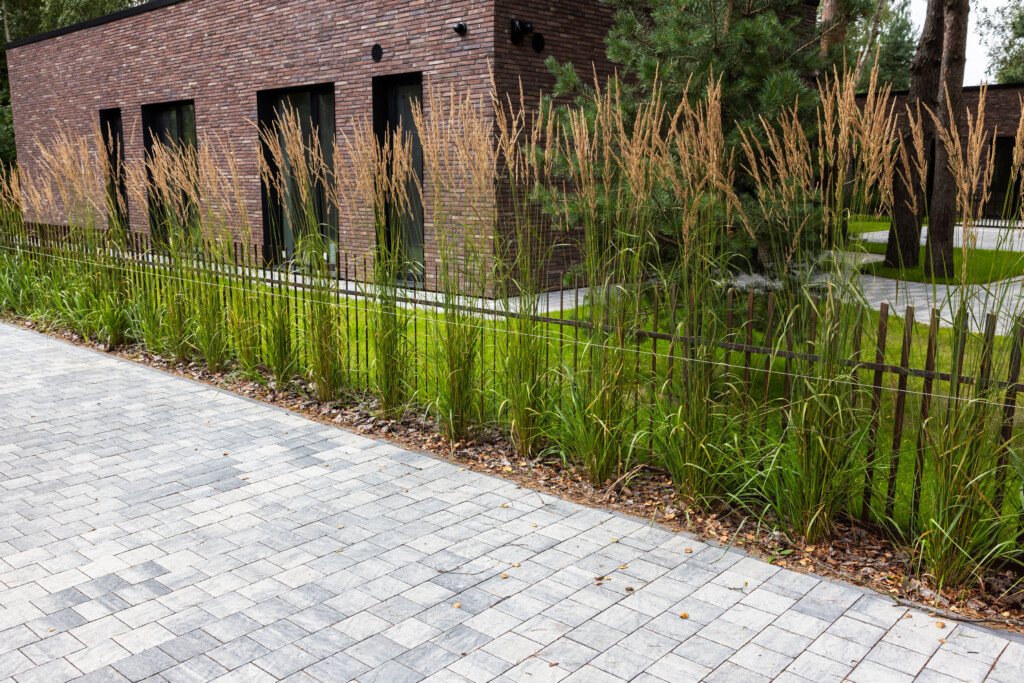 Nida Granit, Palanga