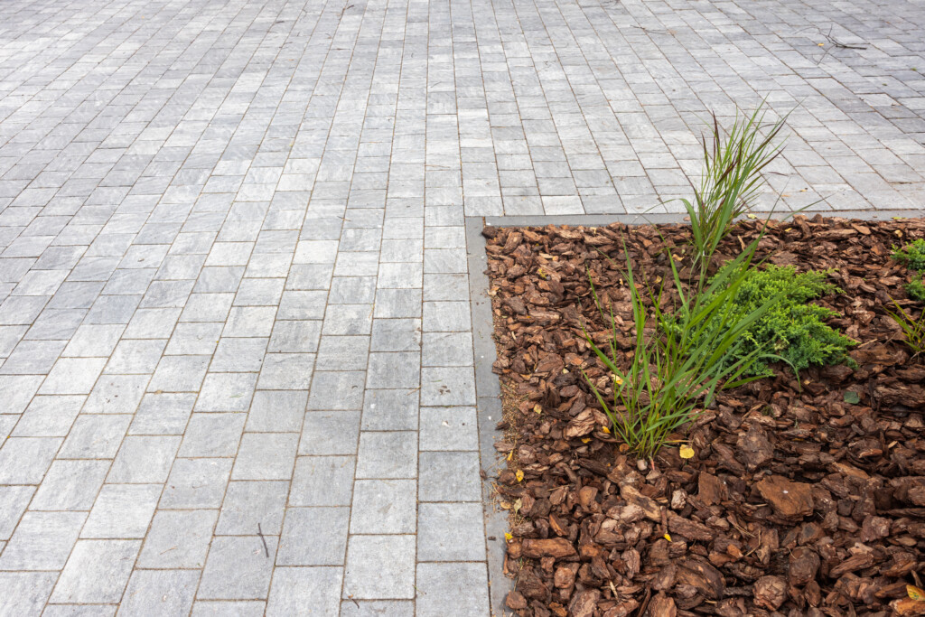 Nida Granit, Palanga