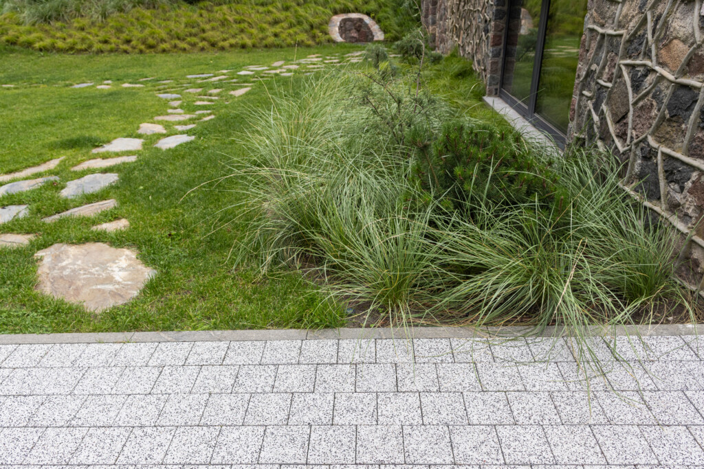 Juodrantė, Pilkopė