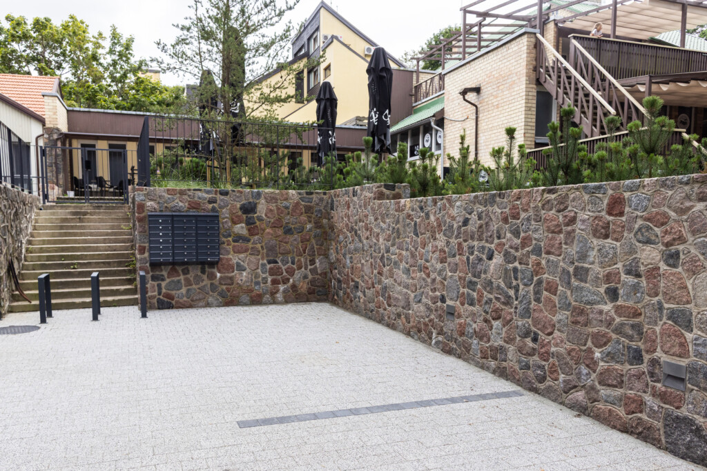 Juodrantė, Pilkopė