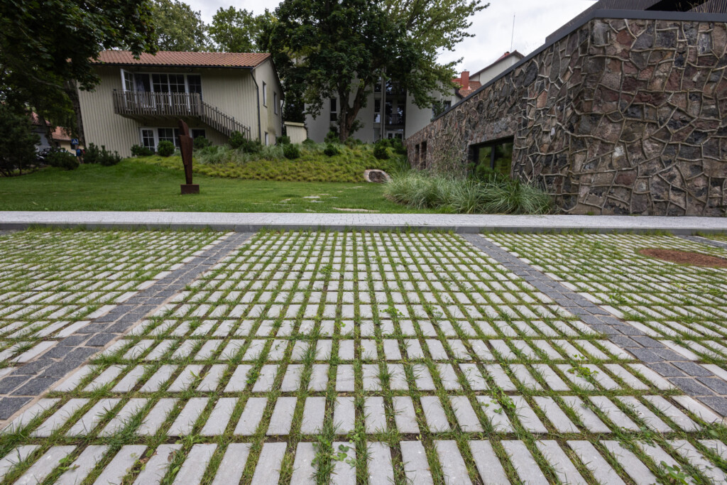 Juodrantė, Pilkopė