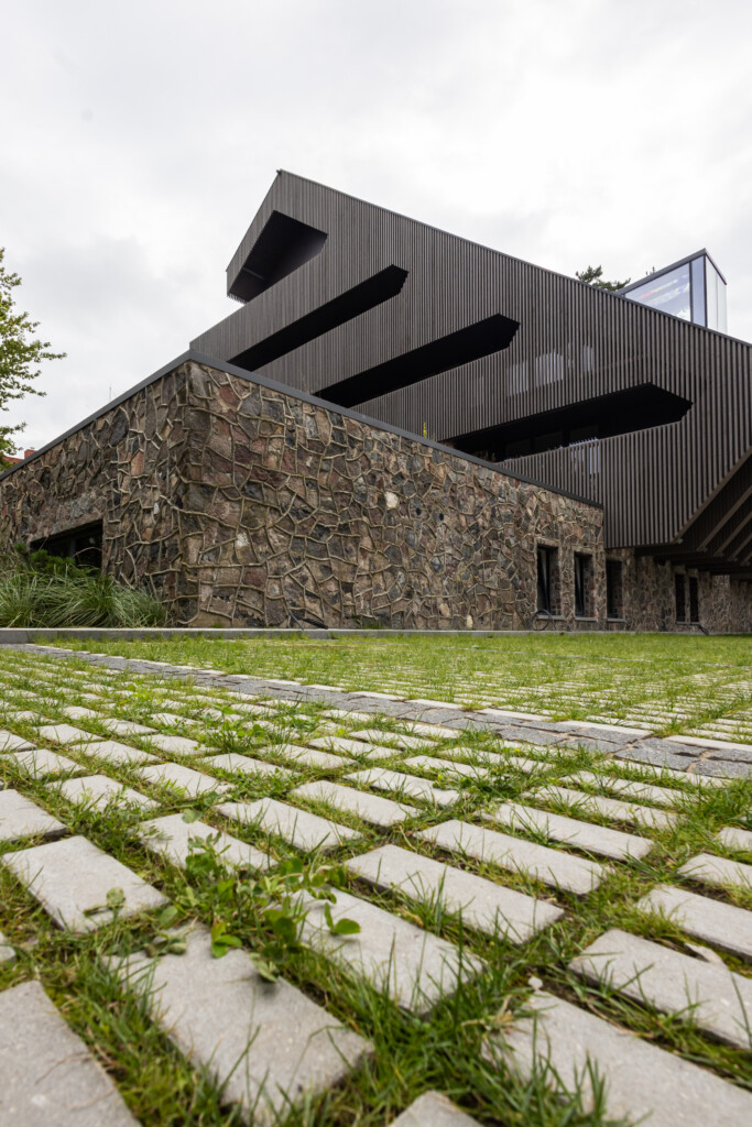 Juodrantė, Pilkopė