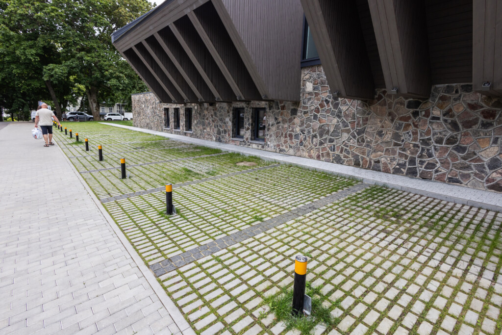 Juodrantė, Pilkopė