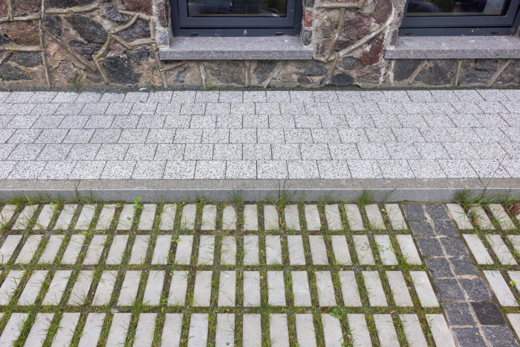 Juodrantė, Pilkopė