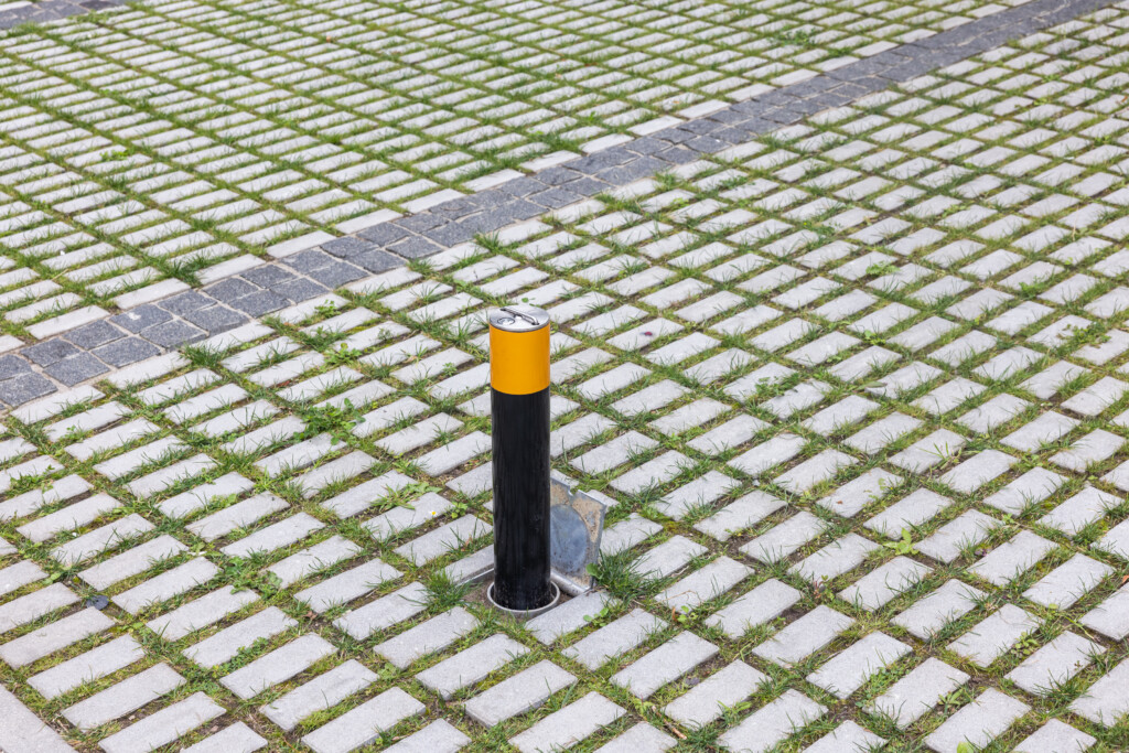 Juodrantė, Pilkopė