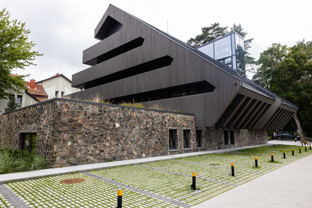 Juodrantė, Pilkopė